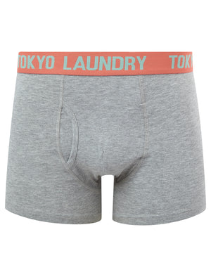 Starcross (2 Pack) Boxer Shorts Set in Dubarry Coral / Dusty Jade Green - Tokyo Laundry