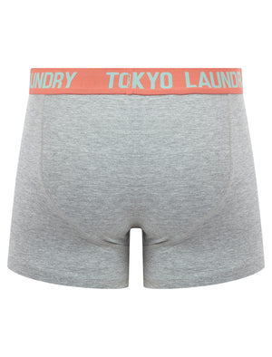 Starcross (2 Pack) Boxer Shorts Set in Dubarry Coral / Dusty Jade Green - Tokyo Laundry