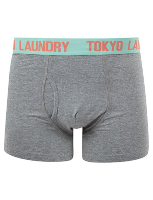 Starcross (2 Pack) Boxer Shorts Set in Dubarry Coral / Dusty Jade Green - Tokyo Laundry