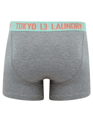 Starcross (2 Pack) Boxer Shorts Set in Dubarry Coral / Dusty Jade Green - Tokyo Laundry