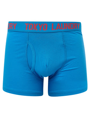Starfield (2 Pack) Boxer Shorts Set in Blithe Blue / Raspberry - Tokyo Laundry