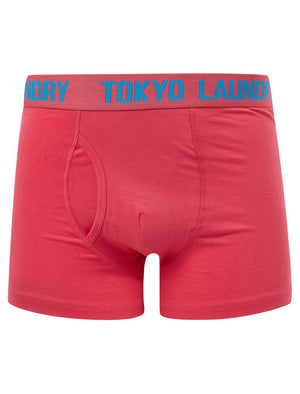 Starfield (2 Pack) Boxer Shorts Set in Blithe Blue / Raspberry - Tokyo Laundry