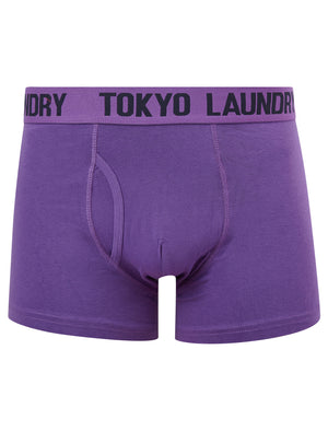 Starfield (2 Pack) Boxer Shorts Set in Pansy Purple / Sky Captain