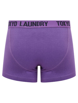 Starfield (2 Pack) Boxer Shorts Set in Pansy Purple / Sky Captain Navy - Tokyo Laundry