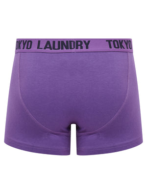 Starfield (2 Pack) Boxer Shorts Set in Pansy Purple / Sky Captain