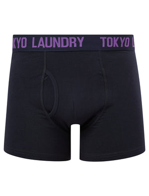 Starfield (2 Pack) Boxer Shorts Set in Pansy Purple / Sky Captain Navy - Tokyo Laundry