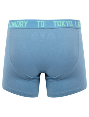 Snowden (2 Pack) Boxer Shorts Set in Dusty Jade Green / Blue Shadow - Tokyo Laundry