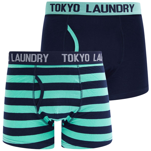 Saber (2 Pack) Striped Boxer Shorts Set in Dusty Jade Green / Sky Captain Navy - Tokyo Laundry