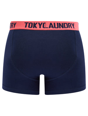 Saber (2 Pack) Striped Boxer Shorts Set in Dubarry Coral / Sky Captain Navy - Tokyo Laundry