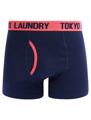 Saber (2 Pack) Striped Boxer Shorts Set in Dubarry Coral / Sky Captain Navy - Tokyo Laundry