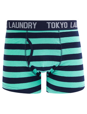 Saber (2 Pack) Striped Boxer Shorts Set in Dusty Jade Green / Sky Captain Navy - Tokyo Laundry