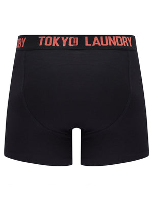 Sadler (2 Pack) Boxer Shorts Set in Hot Coral / Princess Blue - Tokyo Laundry