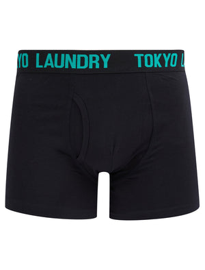 Stefton (2 Pack) Boxer Shorts Set in Simply Green / Raspberry - Tokyo Laundry