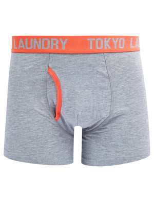 Sadiki (2 Pack) Boxer Shorts Set in Love Bird Green / Hot Coral - Tokyo Laundry