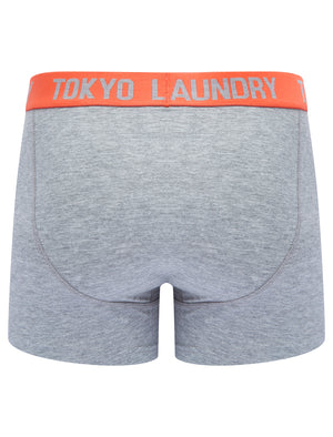 Sadiki (2 Pack) Boxer Shorts Set in Love Bird Green / Hot Coral - Tokyo Laundry