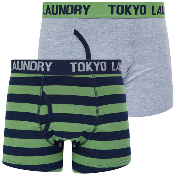 Samein (2 Pack) Striped Boxer Shorts Set in Green Eyes / Light Grey Marl - Tokyo Laundry