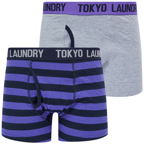 Samein (2 Pack) Striped Boxer Shorts Set in Purple Opulence / Light Grey Marl - Tokyo Laundry