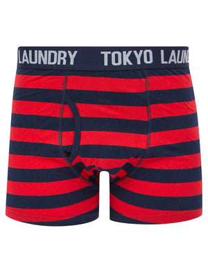 Samein (2 Pack) Striped Boxer Shorts Set in Barados Cherry / Light Grey Marl - Tokyo Laundry
