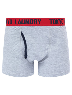 Samein (2 Pack) Striped Boxer Shorts Set in Barados Cherry / Light Grey Marl - Tokyo Laundry