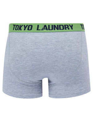 Samein (2 Pack) Striped Boxer Shorts Set in Green Eyes / Light Grey Marl - Tokyo Laundry