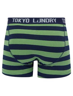 Samein (2 Pack) Striped Boxer Shorts Set in Green Eyes / Light Grey Marl - Tokyo Laundry