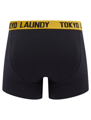 Gibson (2 Pack) Boxer Shorts Set in Artisan's Gold / Baja Blue - Tokyo Laundry