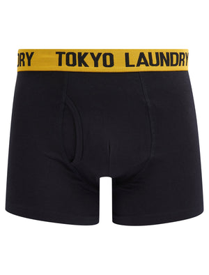 Gibson (2 Pack) Boxer Shorts Set in Artisan's Gold / Baja Blue - Tokyo Laundry