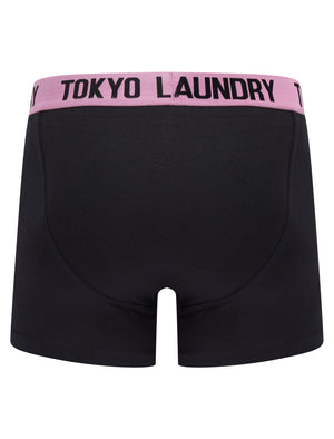 Gibson (2 Pack) Boxer Shorts Set in Sachet Pink / Dusty Jade - Tokyo Laundry