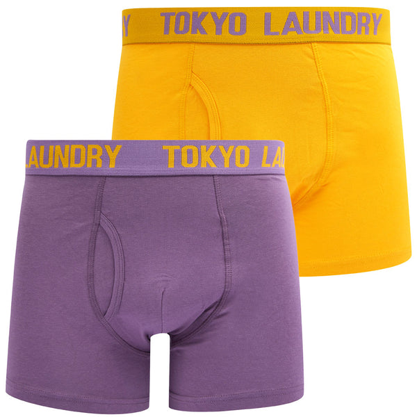 Samwell (2 Pack) Boxer Shorts Set in Artisan's Gold / Grape Jam - Tokyo Laundry