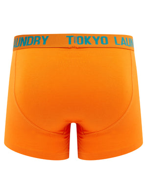 Samwell (2 Pack) Boxer Shorts Set in River Green / Golden Poppy Orange - Tokyo Laundry