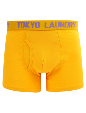 Samwell (2 Pack) Boxer Shorts Set in Artisan's Gold / Grape Jam - Tokyo Laundry