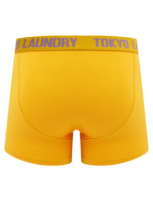 Samwell (2 Pack) Boxer Shorts Set in Artisan's Gold / Grape Jam - Tokyo Laundry