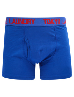 Samwell (2 Pack) Boxer Shorts Set in Sea Surf Blue / Barados Cherry - Tokyo Laundry