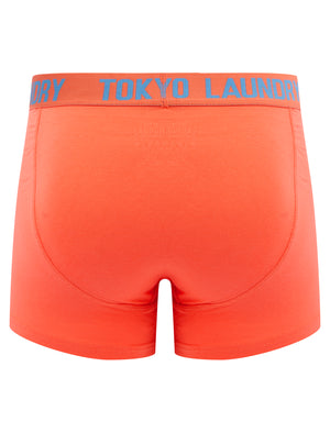 Saxen (2 Pack) Boxer Shorts Set in Niagara Falls Blue / Hot Coral - Tokyo Laundry