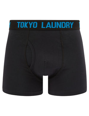 Tilson (2 Pack) Boxer Shorts Set in Blithe Blue / Raspberry - Tokyo Laundry
