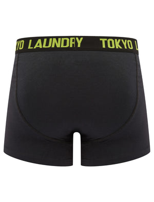 Tilson (2 Pack) Boxer Shorts Set in Jet Blue / Love Birds - Tokyo Laundry
