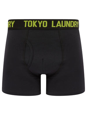 Tilson (2 Pack) Boxer Shorts Set in Jet Blue / Love Birds - Tokyo Laundry