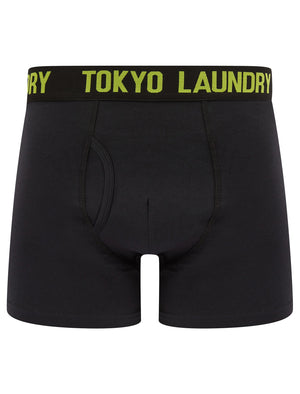 Goldbrook (2 Pack) Boxer Shorts Set in Jet Blue / Love Birds - Tokyo Laundry