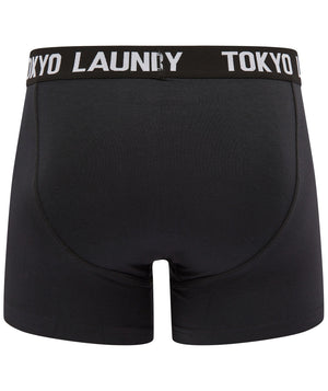 Goldbrook (2 Pack) Boxer Shorts Set in Pansy Purple / Bright White - Tokyo Laundry
