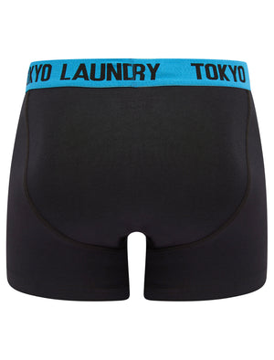 Tompion (2 Pack) Boxer Shorts Set in Blue Moon / Artisan's Gold - Tokyo Laundry