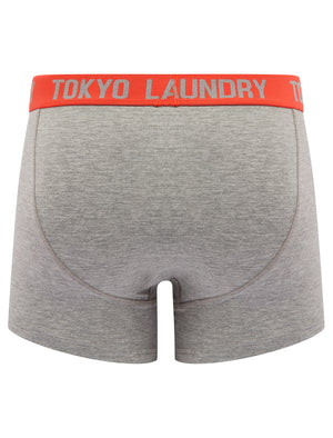 Tompion (2 Pack) Boxer Shorts Set in Limpet Shell Blue / Hot Coral - Tokyo Laundry