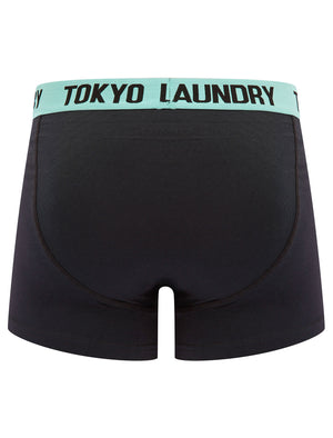 Desoto (2 Pack) Boxer Shorts Set in Limpet Shell Blue / Hot Coral - Tokyo Laundry
