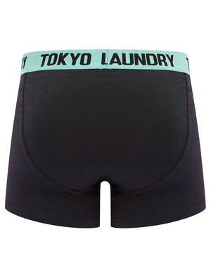 Tompion (2 Pack) Boxer Shorts Set in Limpet Shell Blue / Hot Coral - Tokyo Laundry