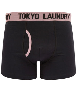 Tompion (2 Pack) Boxer Shorts Set in Pink Nectar / Mood Indigo - Tokyo Laundry