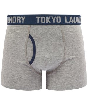 Desoto (2 Pack) Boxer Shorts Set in Pink Nectar / Mood Indigo - Tokyo Laundry