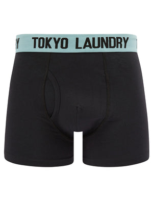 Dorset (2 Pack) Boxer Shorts Set in Limpet Shell Blue / Princess Blue - Tokyo Laundry