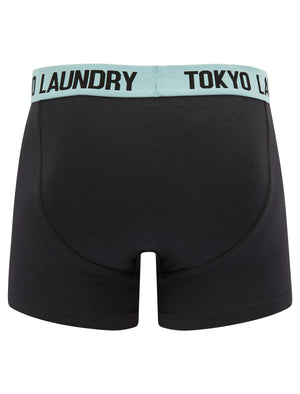 Trader (2 Pack) Boxer Shorts Set in Limpet Shell Blue / Princess Blue - Tokyo Laundry