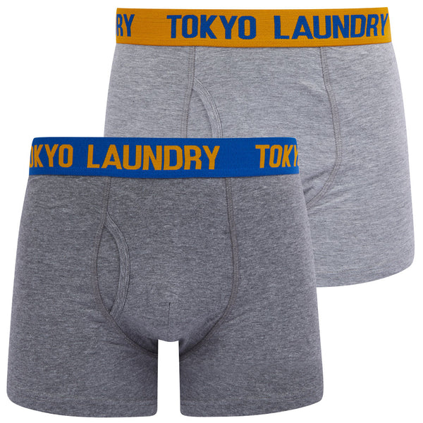Tonsley (2 Pack) Boxer Shorts Set in Autumn Glory / Princess Blue - Tokyo Laundry