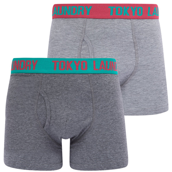 Tonsley (2 Pack) Boxer Shorts Set in Raspberry Rose / Mint - Tokyo Laundry