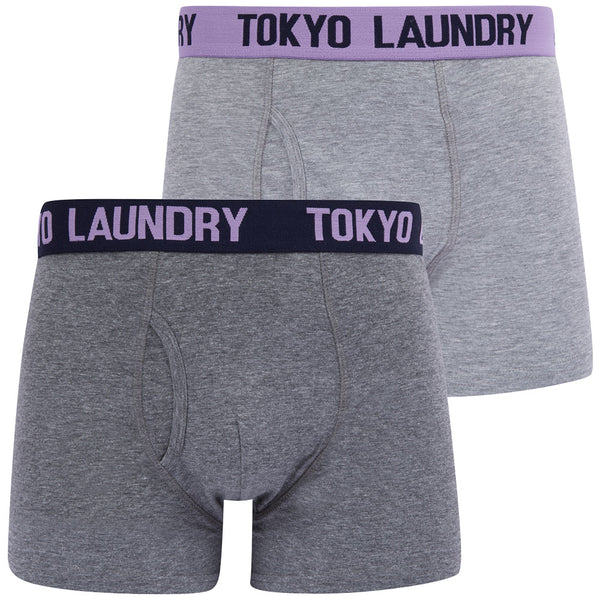 Tonsley (2 Pack) Boxer Shorts Set in Viola Lilac / Sky Captain Navy - Tokyo Laundry